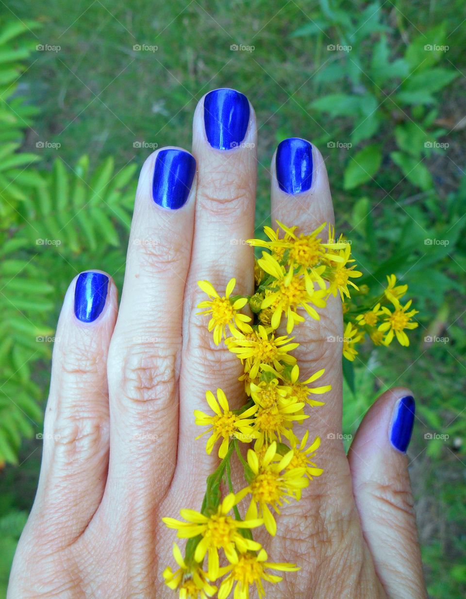 Hand, Summer, Woman, Human, Nature