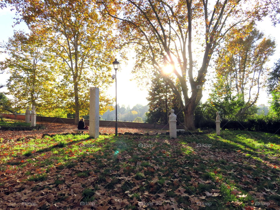herms, person, leaves and trees under autumn's sunrays
