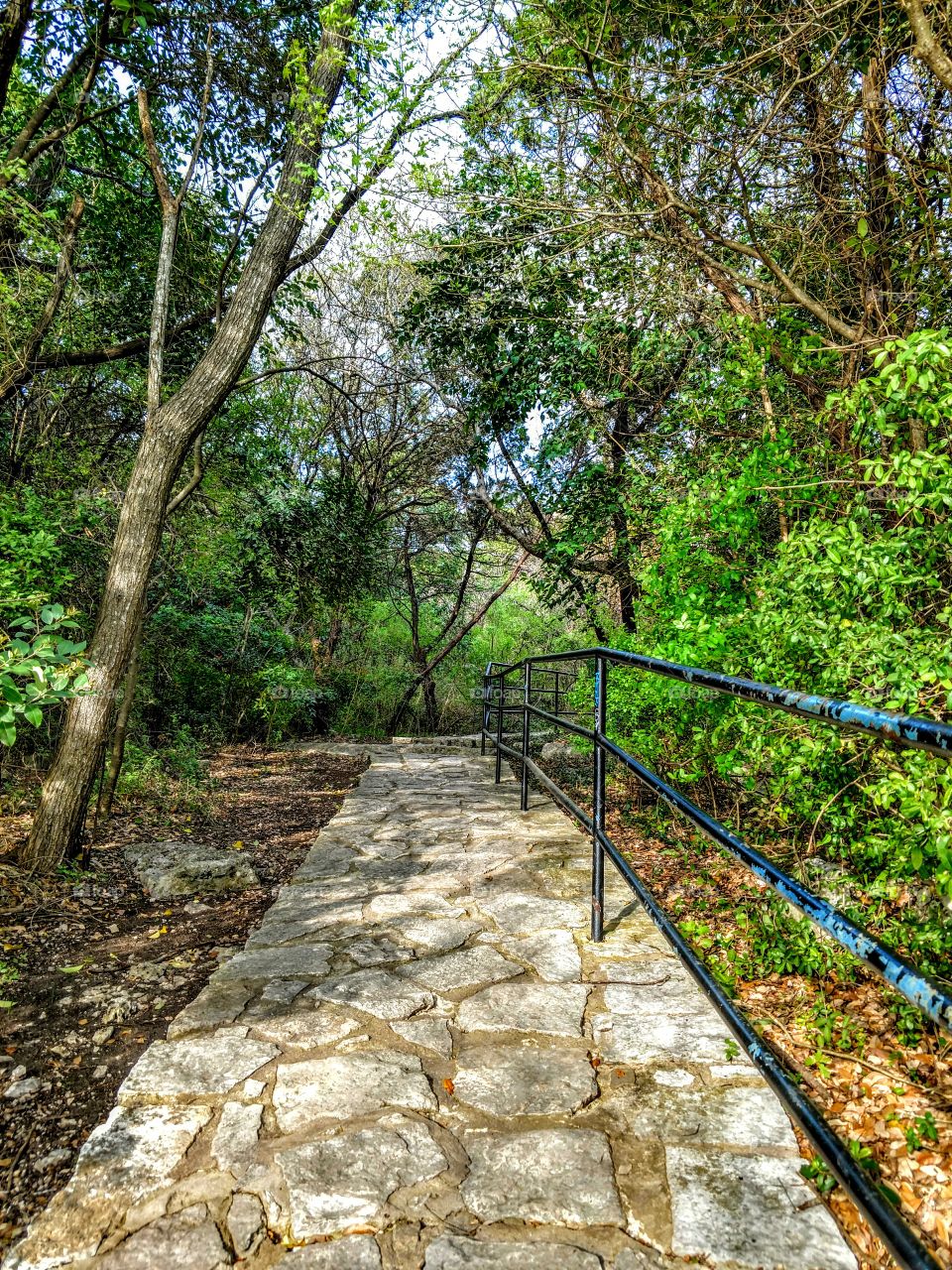 beautiful path in Austin Texas