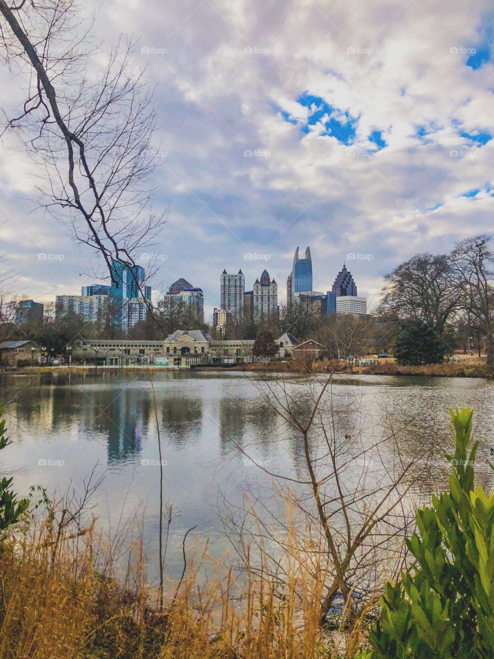 The view of Atlanta from Piedmont Park