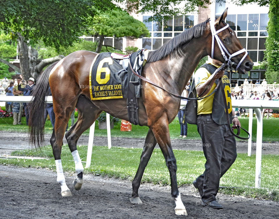 Rachel's Valentina by Fleetphoto.