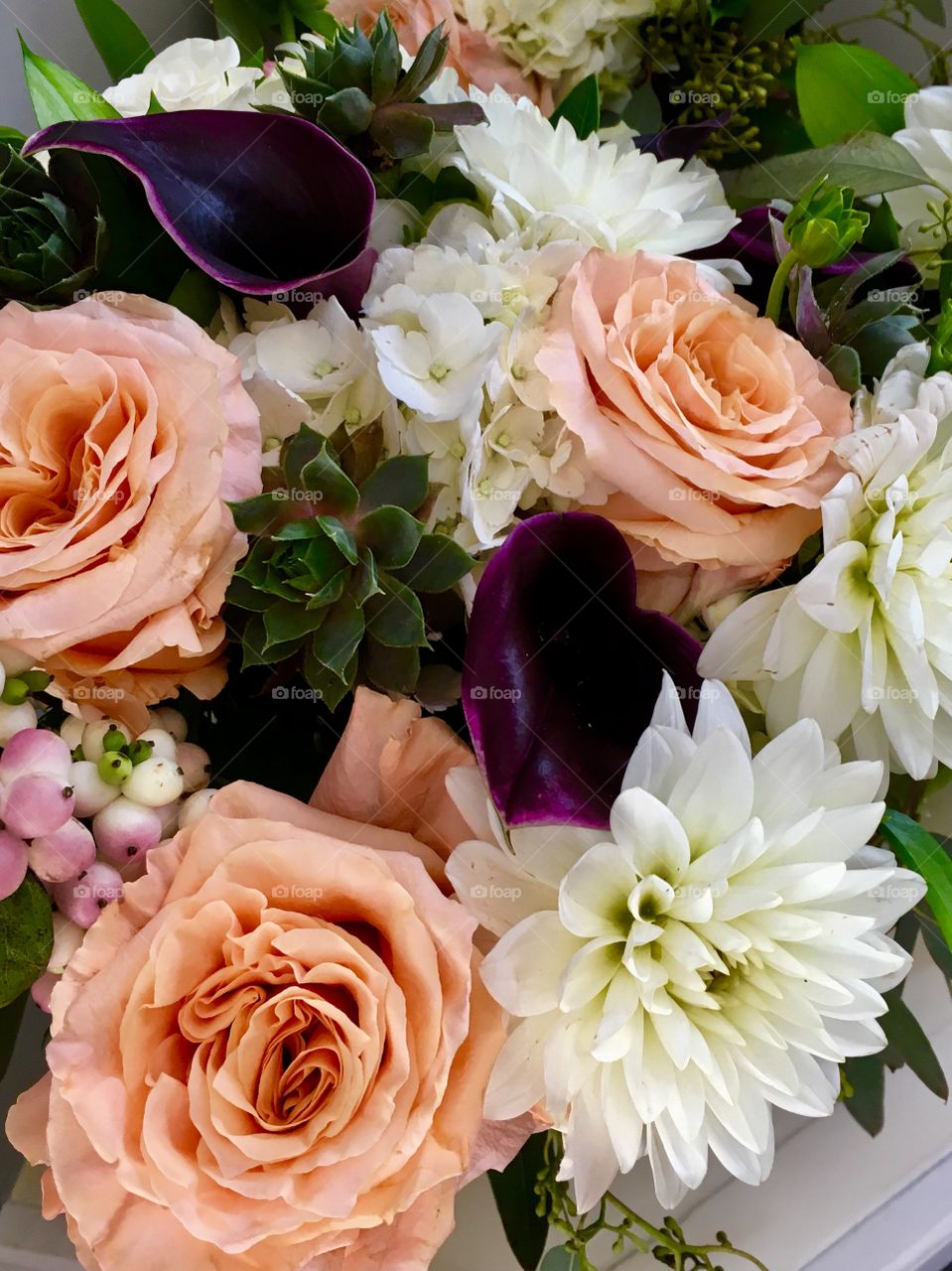 Roses, succulents and dahlias 