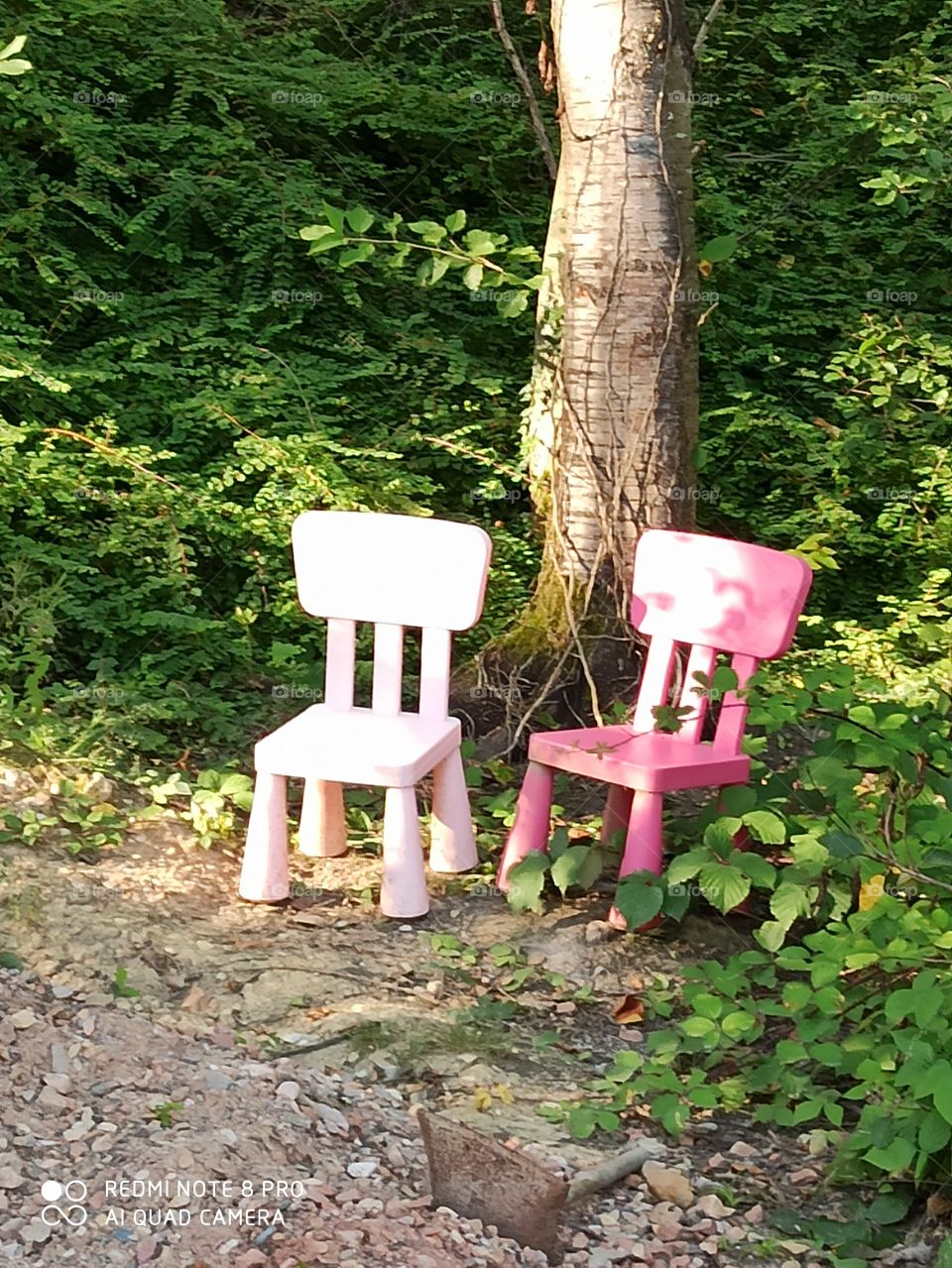 2 Stühle im Wald