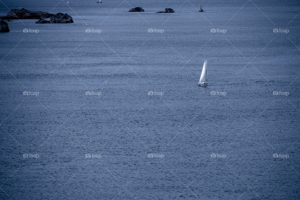 sailboat on the sea