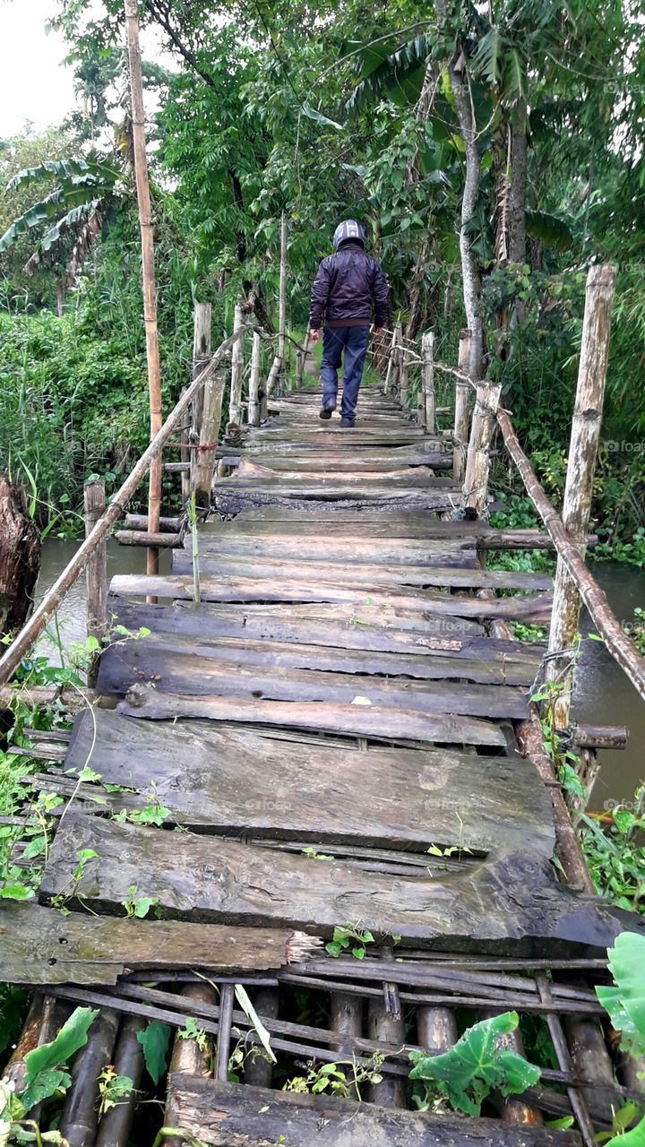 Bamboo and wood bridge under water, walking a man on bridge. wild life.