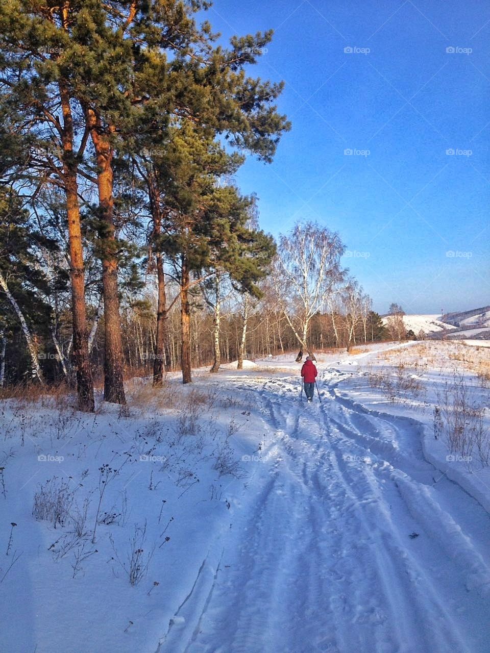 зимняя прогулка