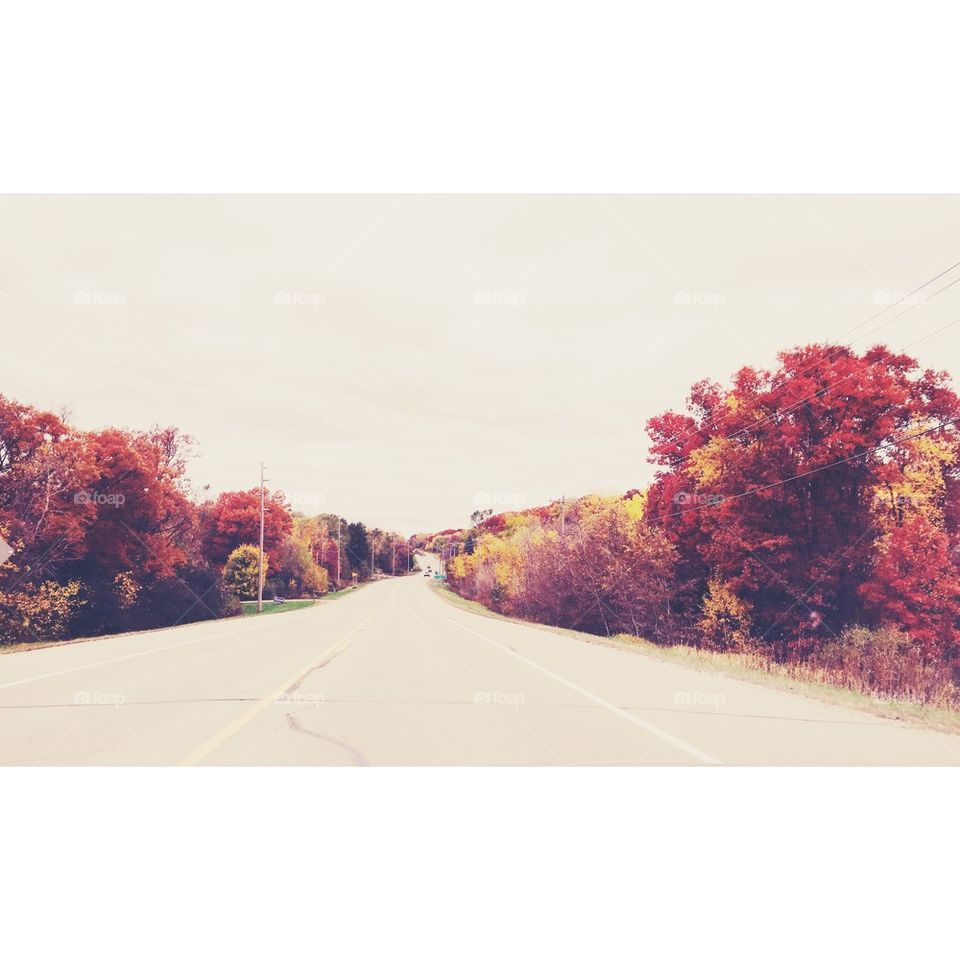 A Drive in Fall
