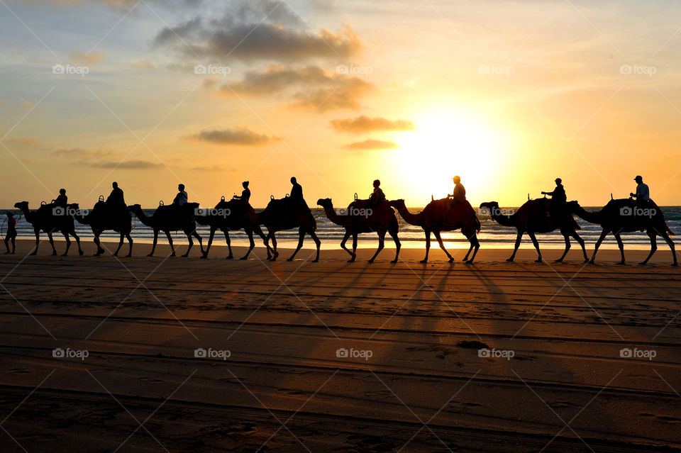 People riding camels on beach
