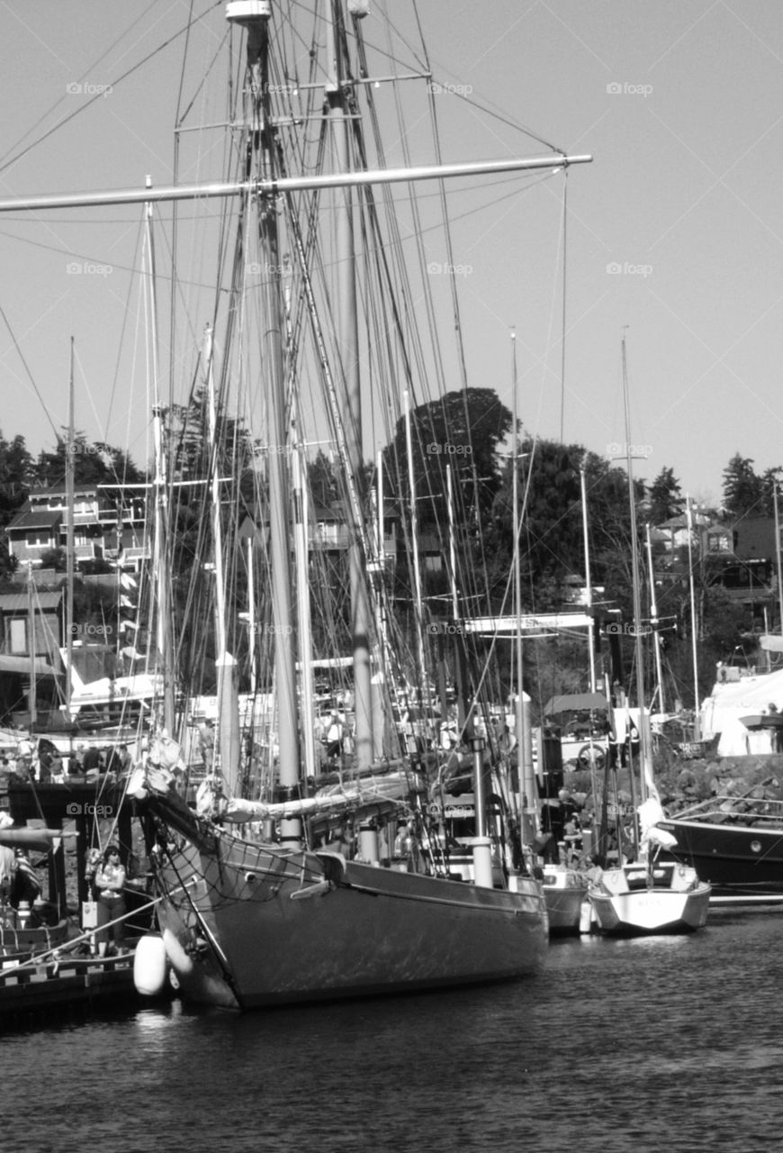 Sail Boats in Mooring 