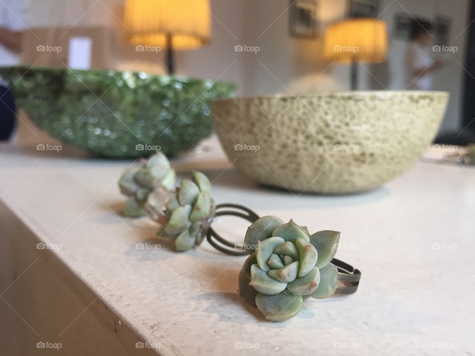 Succulents ring