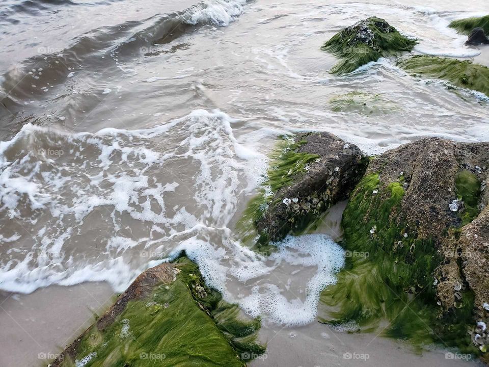 Moss covered beach rocks and boulders