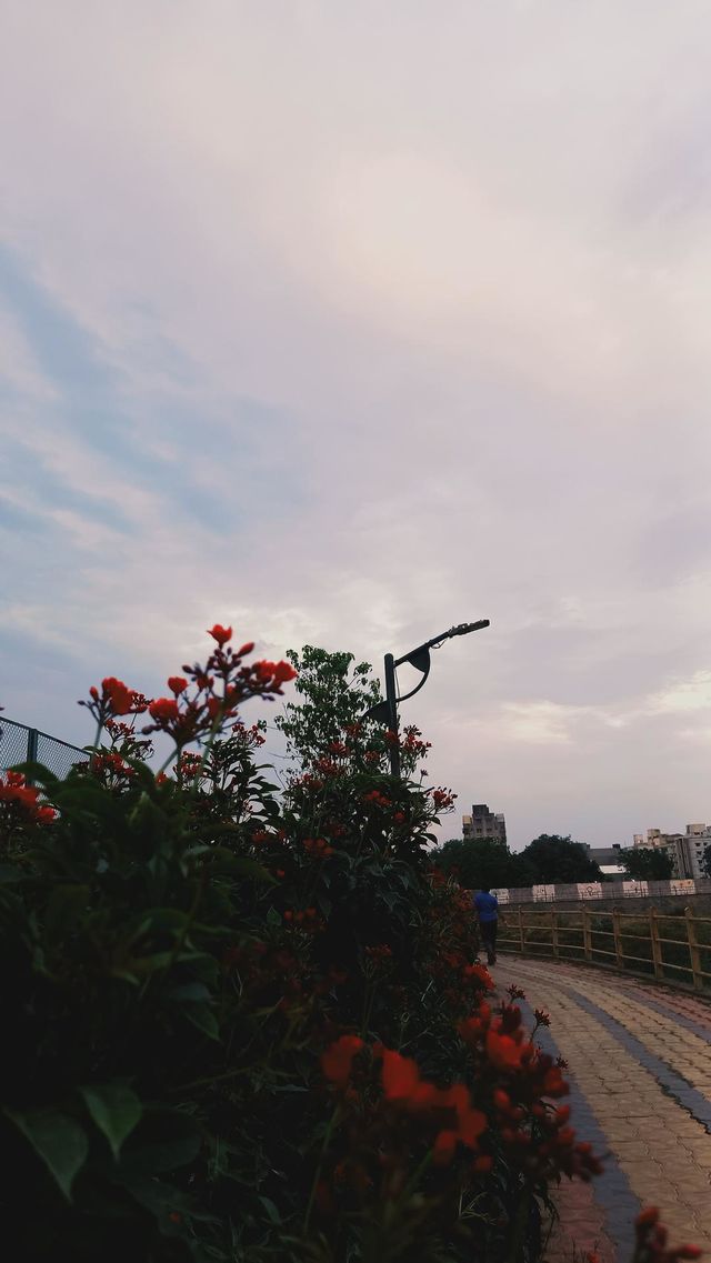Love is like wildflowers; it's often found in the most unlikely places