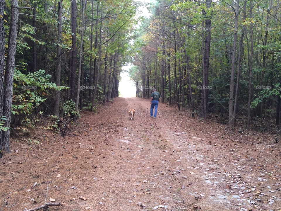 Solitude walk in the woods with my dog