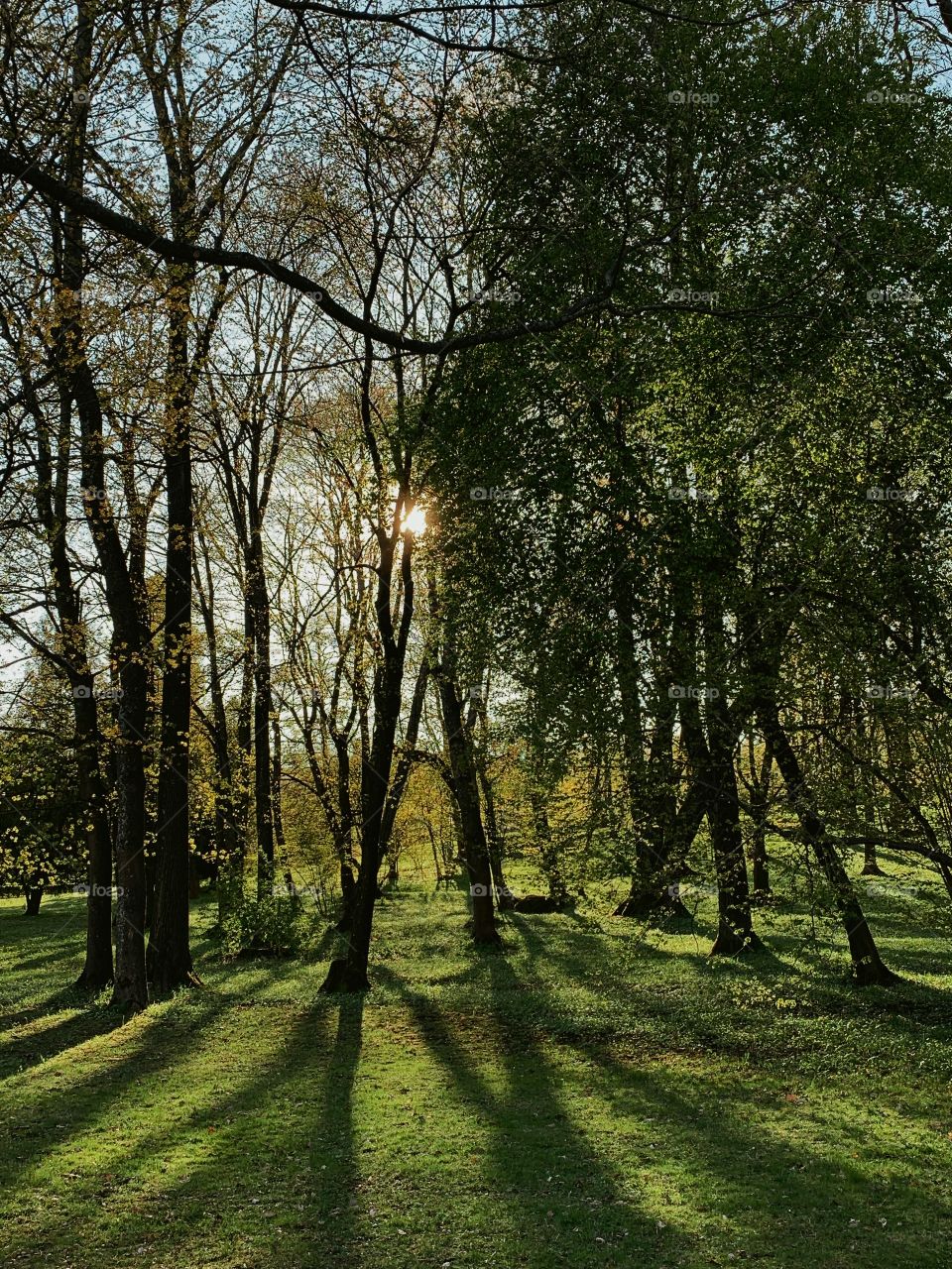 Just quite sunny day in the park 