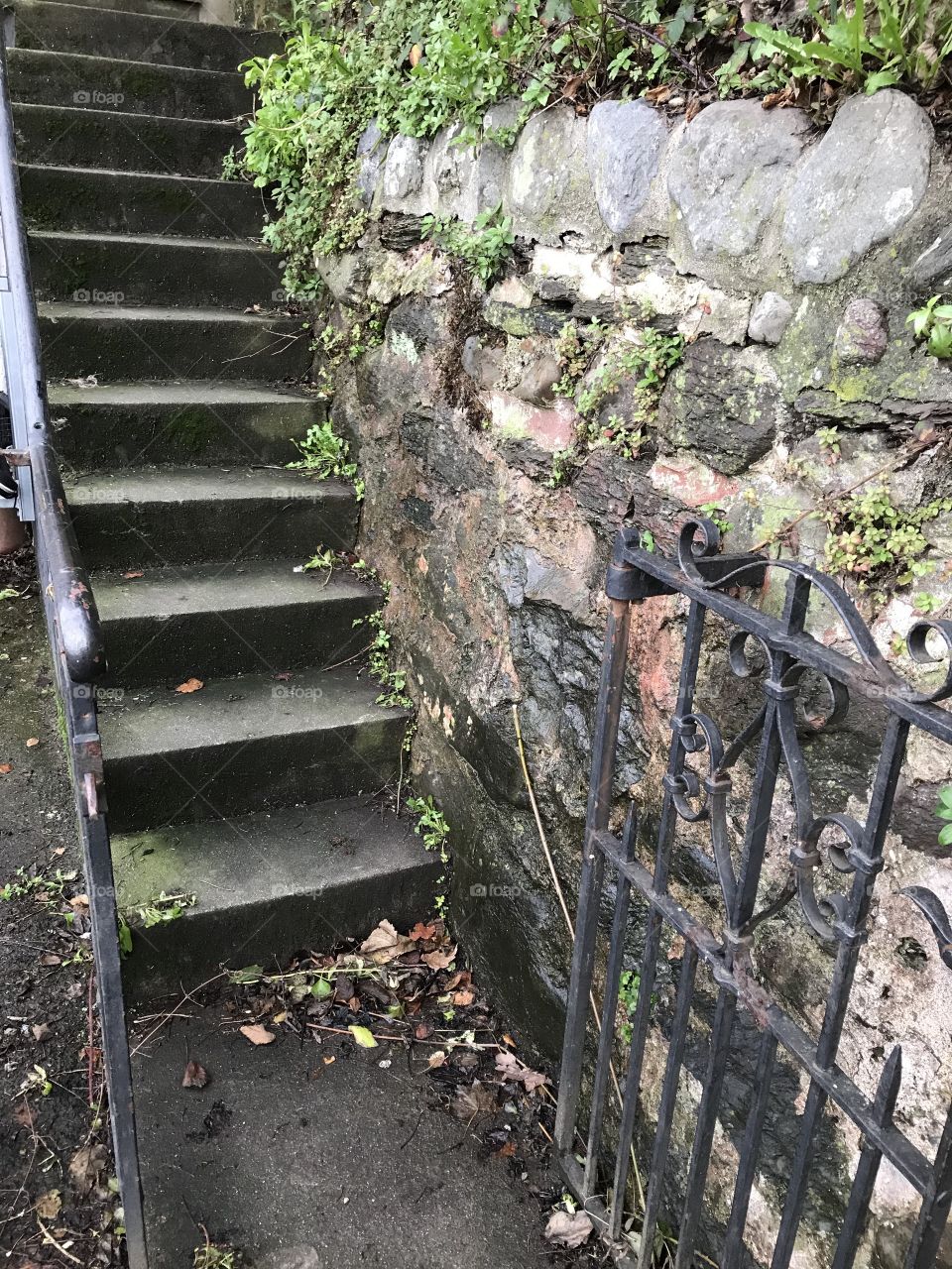 Attractive Exmoor steps constructed with hand made stone work.