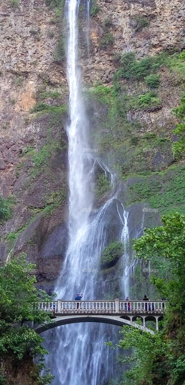 Multanomah Falls