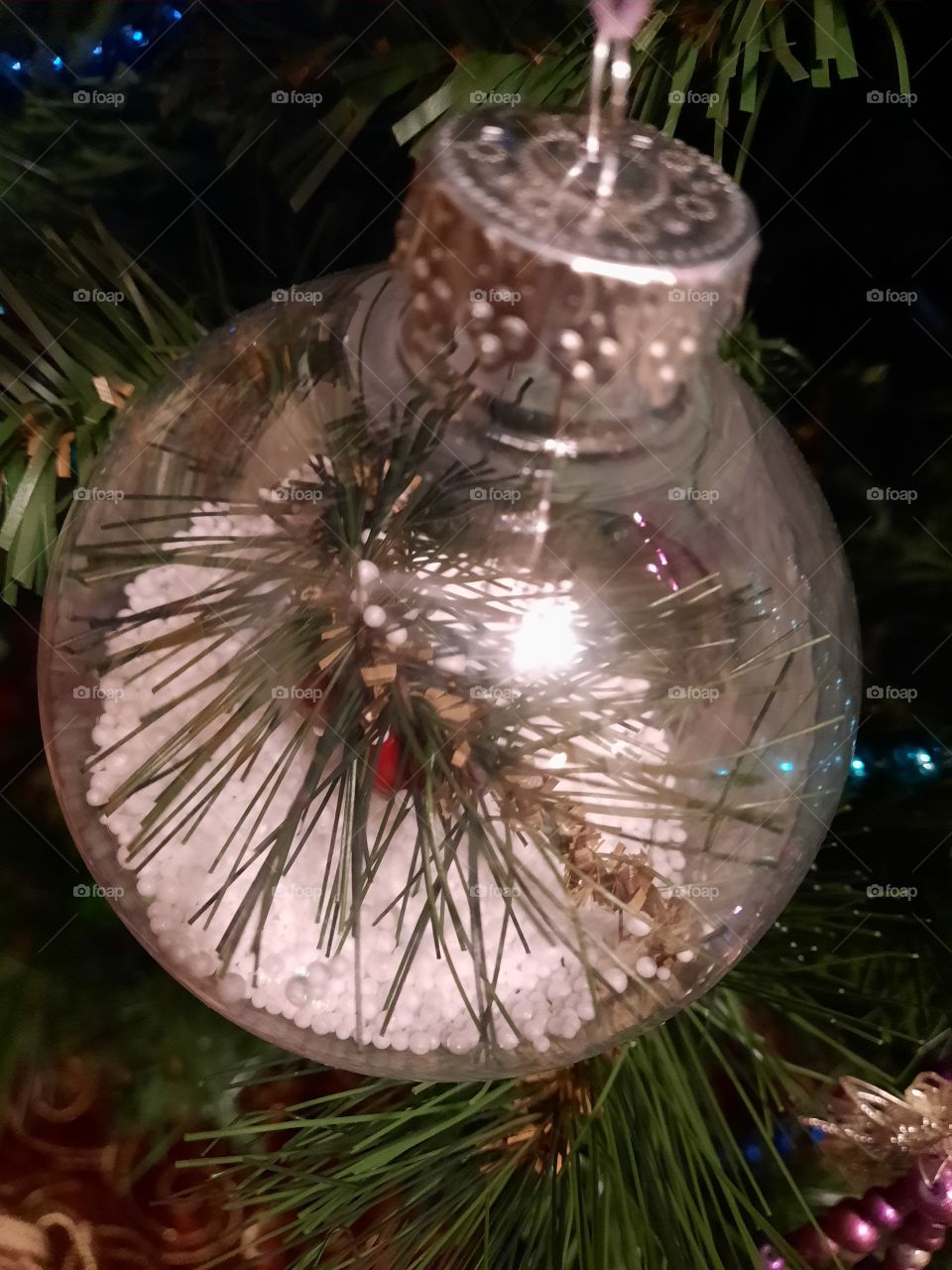 Winter Winelands bulb two