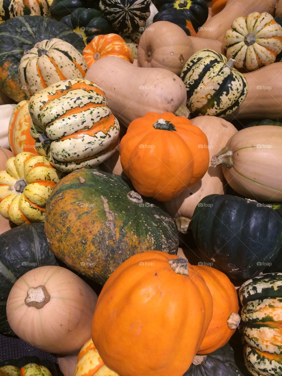 Gourds at the grocery store! 