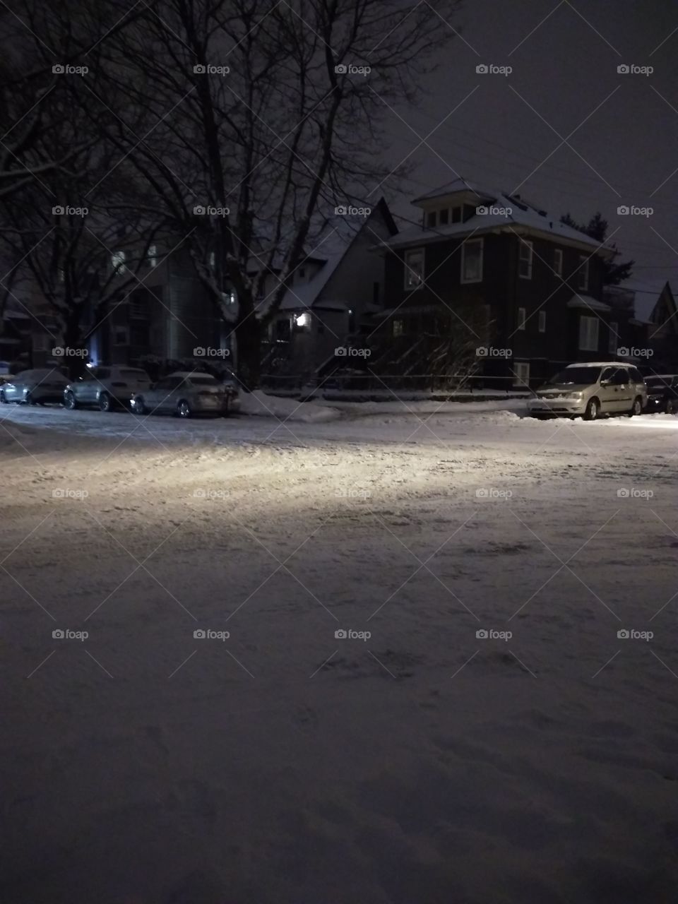 Midnight walk in the snow