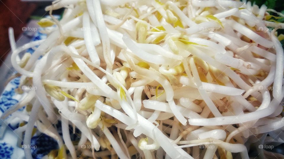 A plate of freshly washed bean sprouts. A popular vegetable food item in many Asian cuisines.