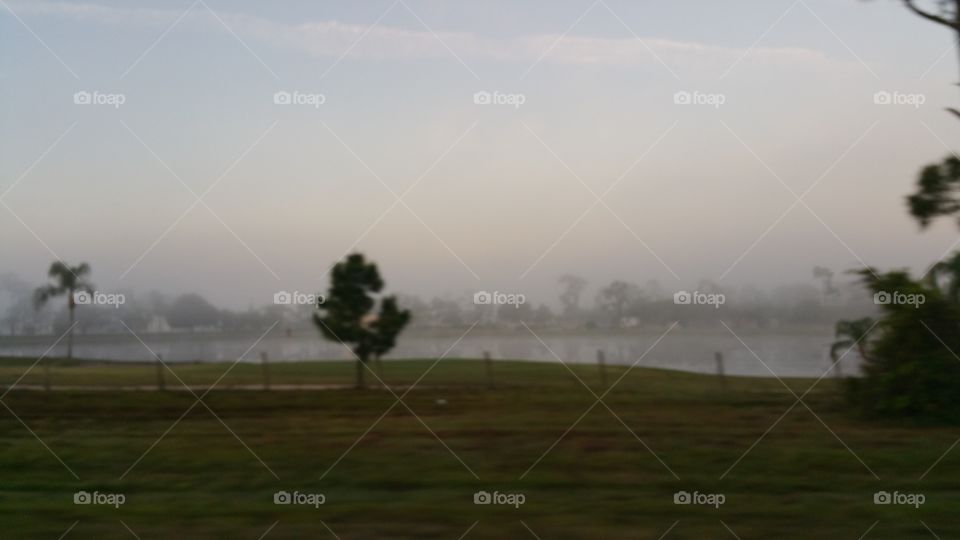 Fog, Landscape, Tree, No Person, Mist