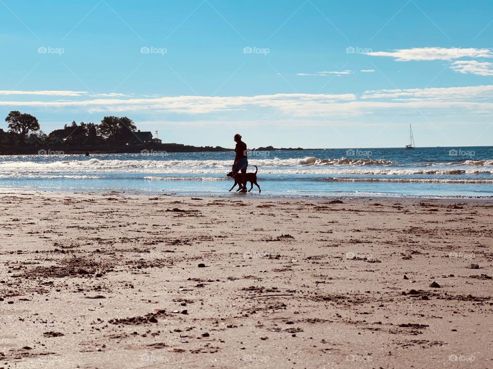 Dog introducing his two best friends, beach and human, to each other