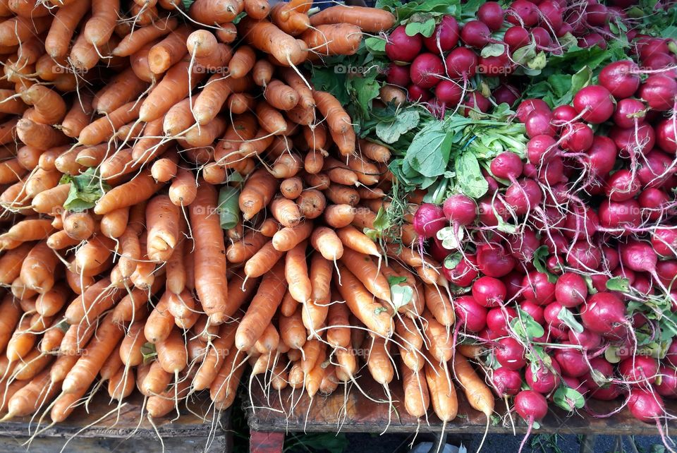 Full frame of carrot