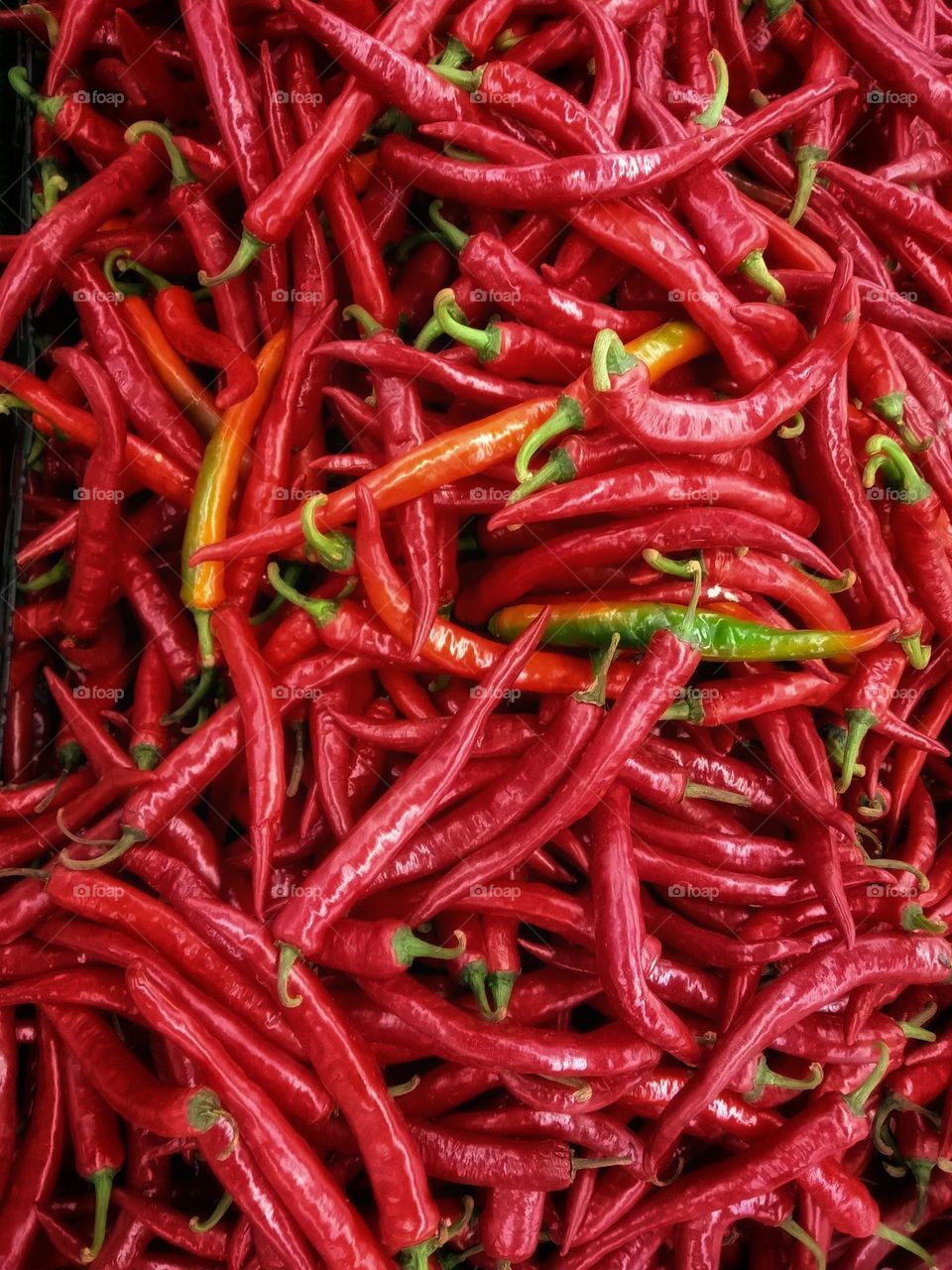 Red chillis