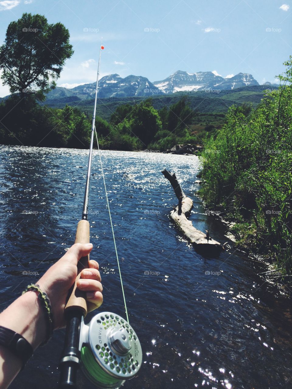 Fly Fishing on the River . Fly Fishing on the Provo River in Utah 