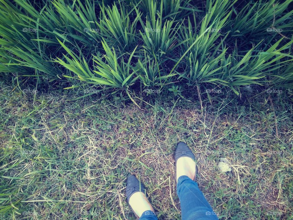 Vacay? Ready, Steady, go!