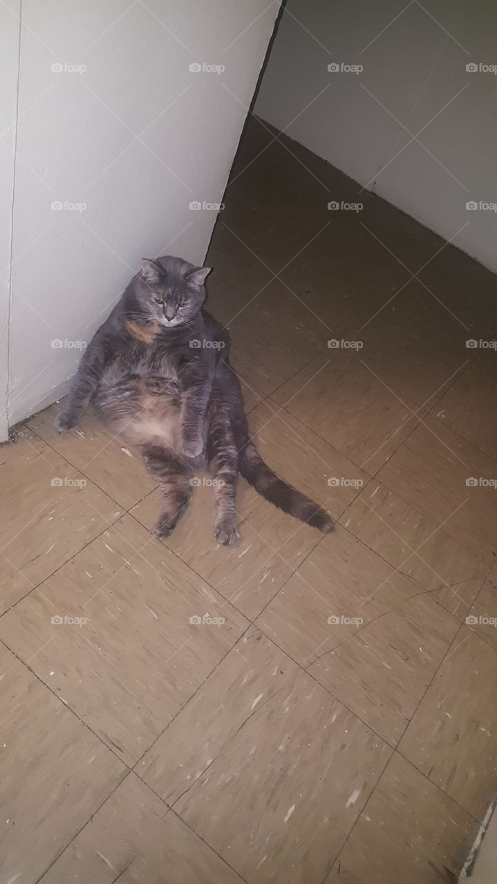 very relaxing moment