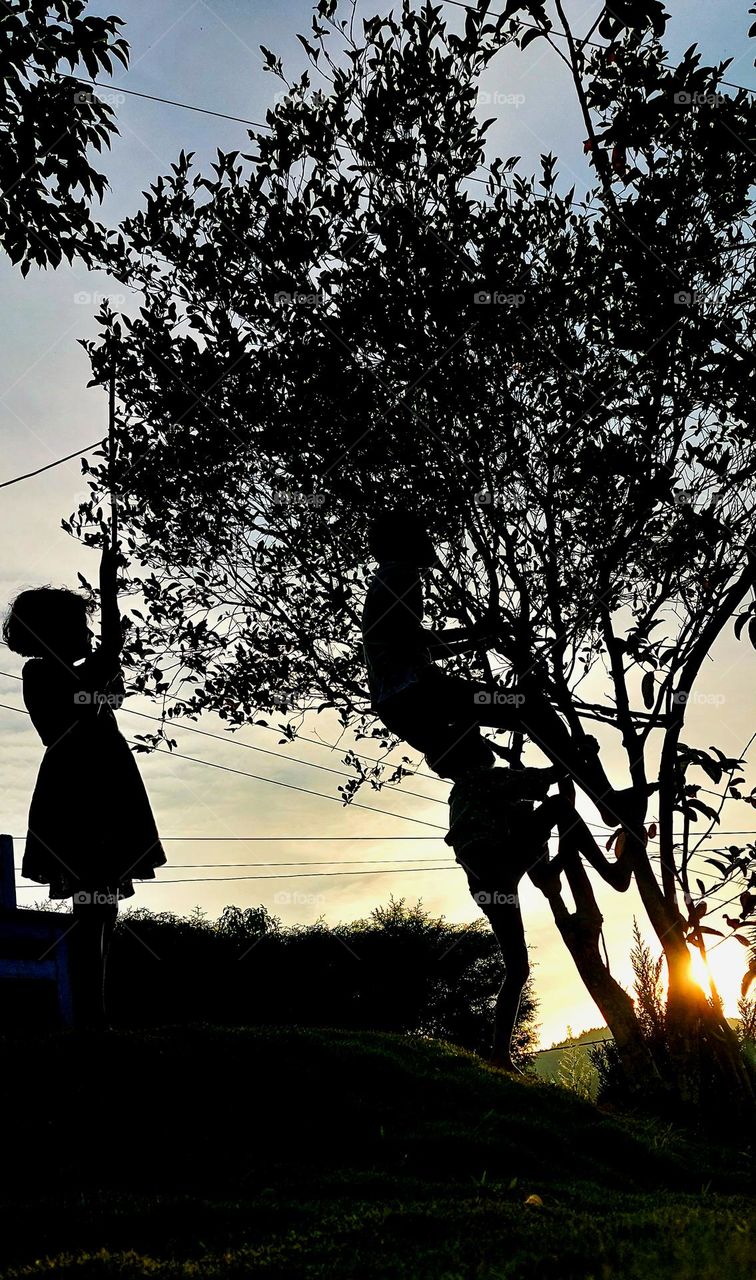 Branching Out: Silhouettes of Playful Kids in the Evening Glow