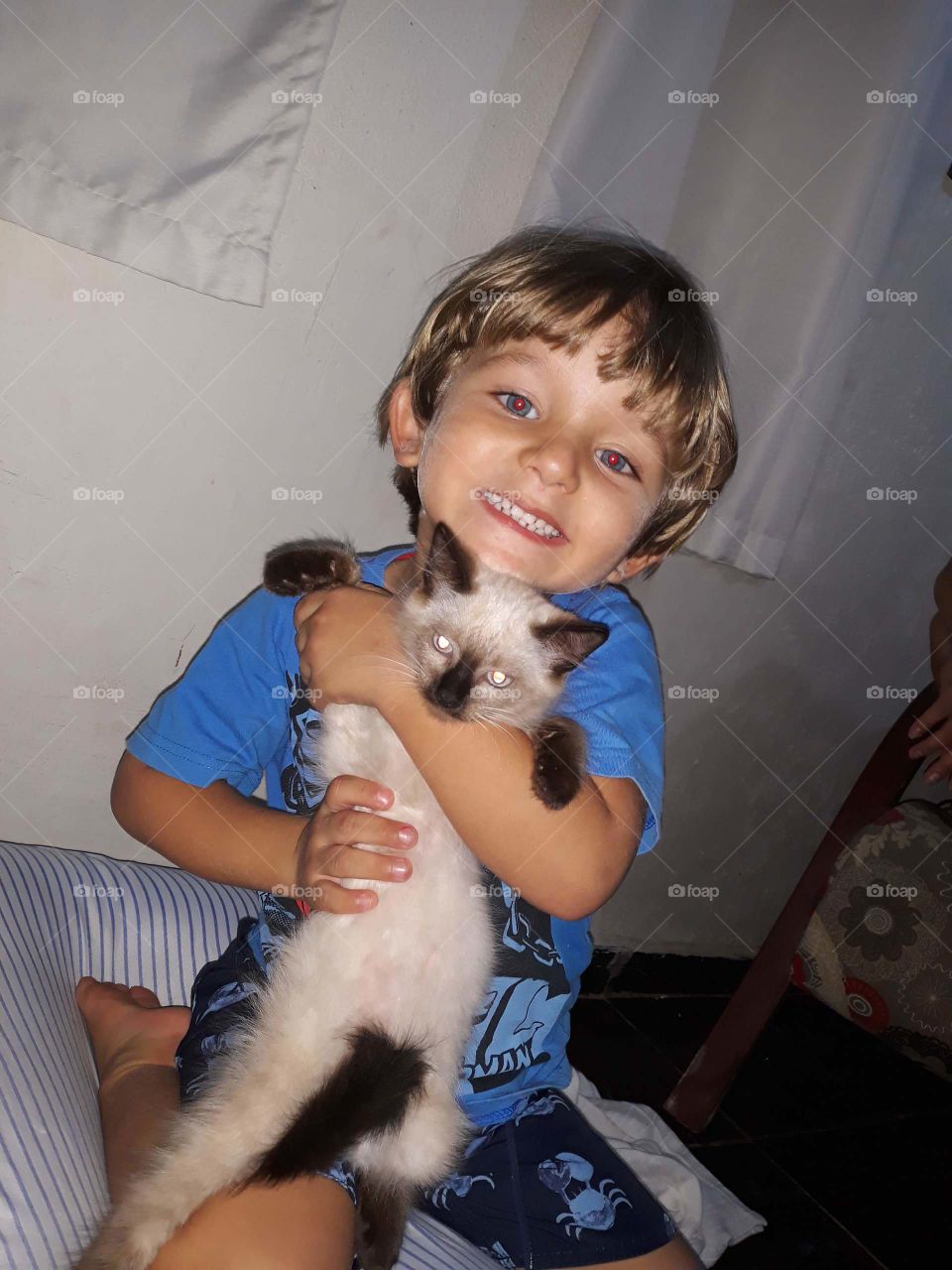 beautiful child with the kitten