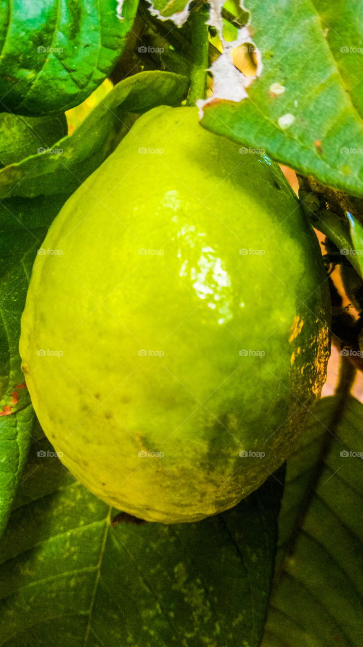 art photography design