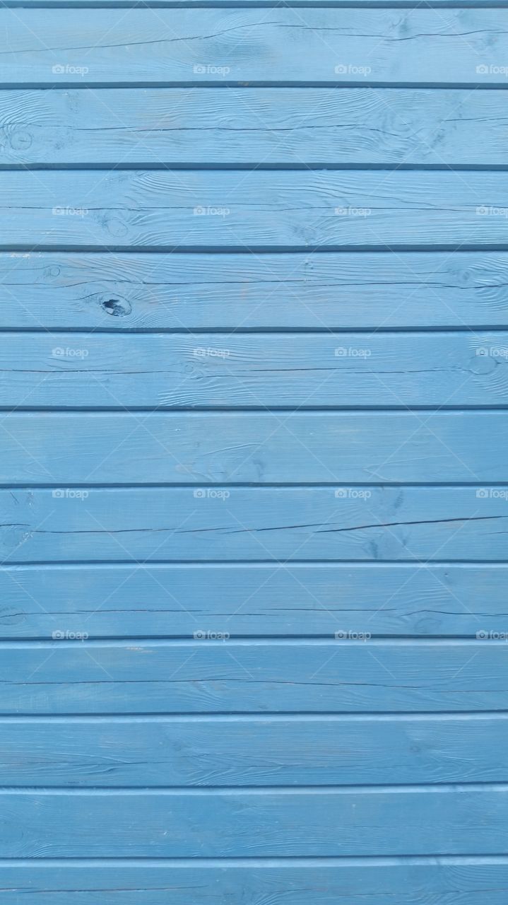 background wall tree blue