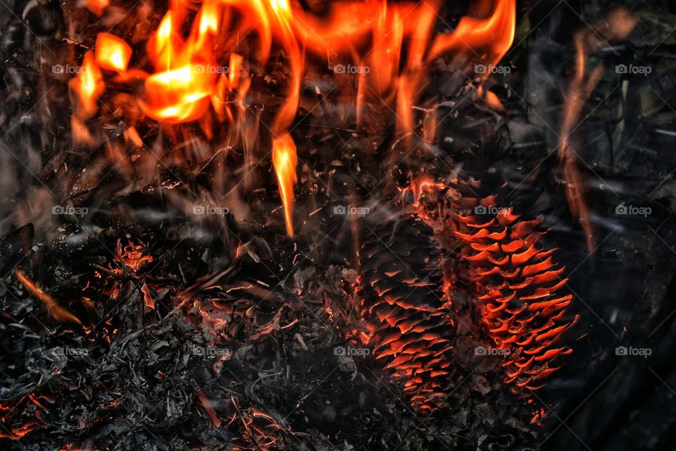 Close-up of campfire