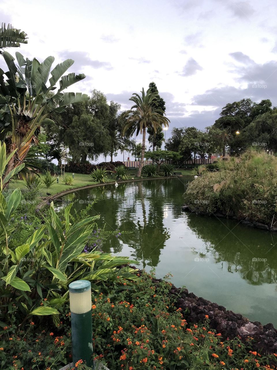 City park of Funchal , Madeira Island , Portugal