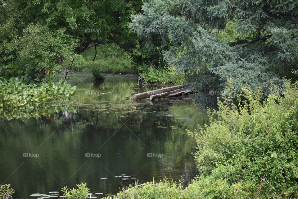 A pond with hints of a pier