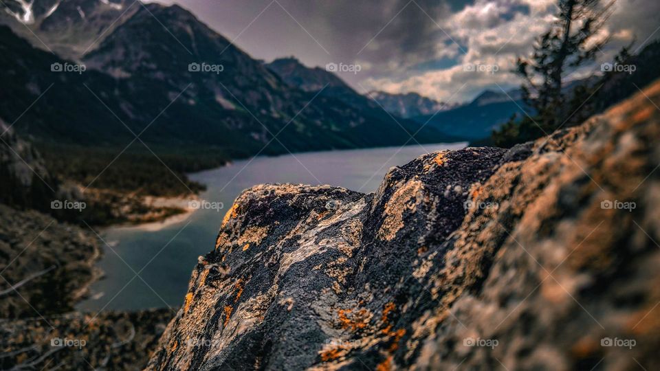 Macro shot on the Mystic lake mountain rangez