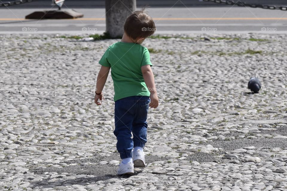 Cute child finding pigeon