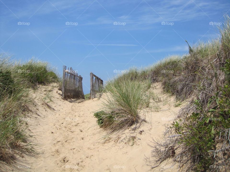 Pathway to the beach