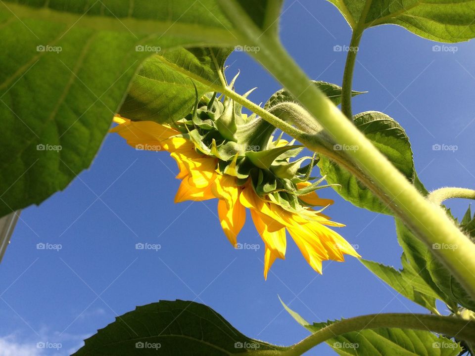 View from a Caterpillar 
