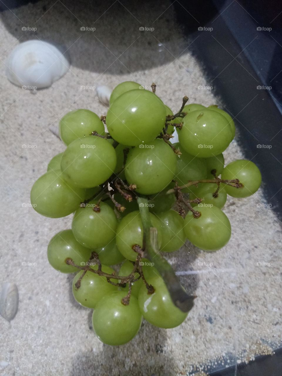 green grape