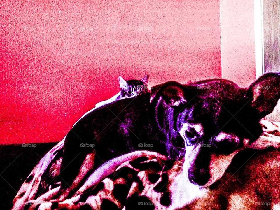 It’s behind me, I feel it