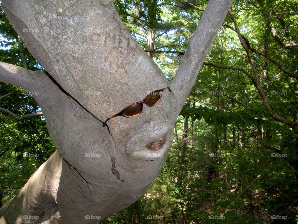 Happy tree. 