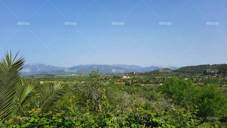 Panoramic view of Majorcan countryside, mountains in the background