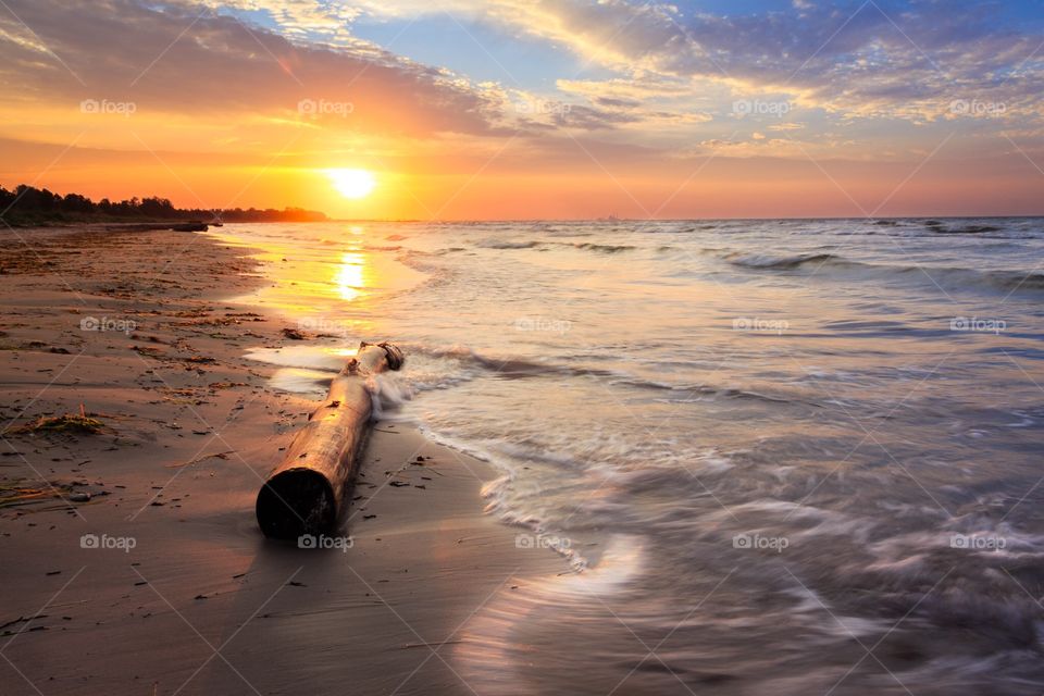 Golden seascape