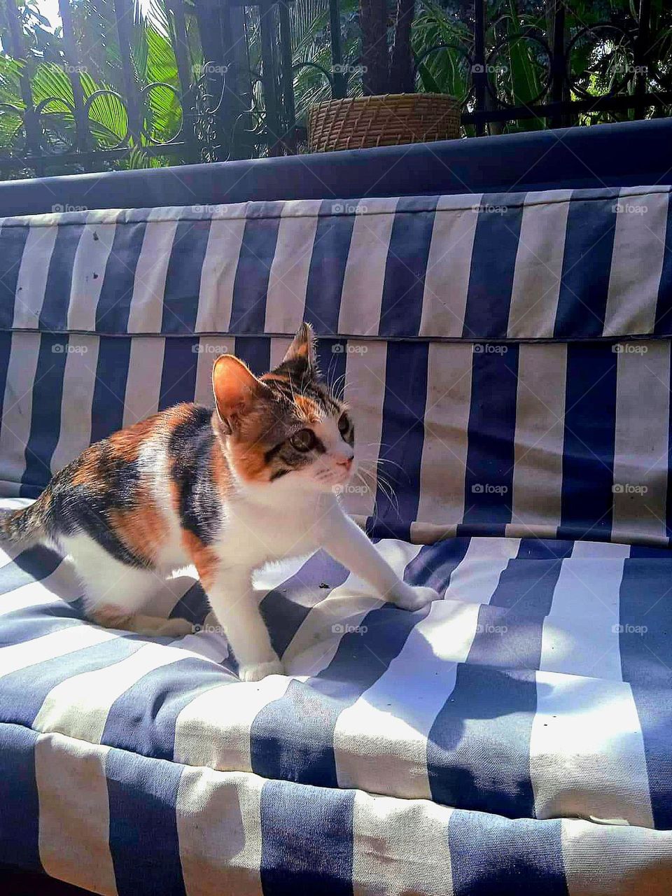 Ready to attack, it's food play time!!!