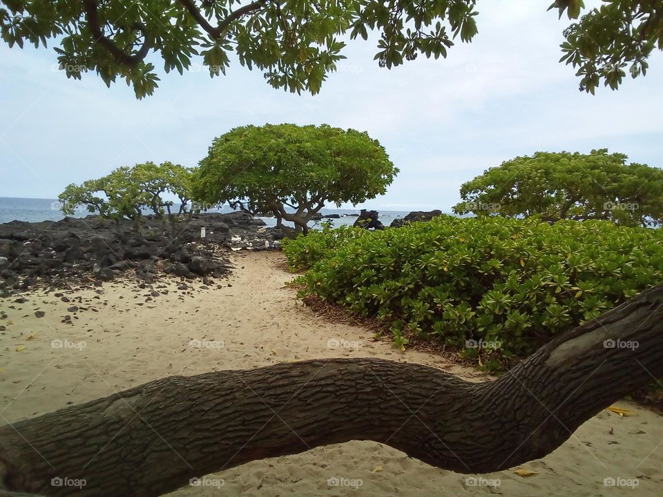 Lava Rock Beach in Arizona