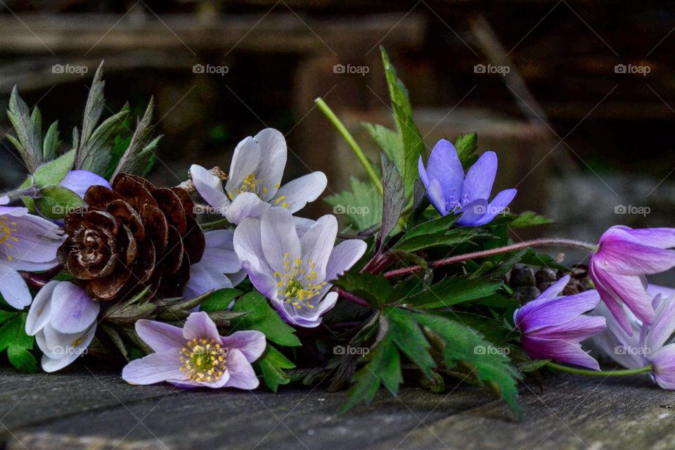 Flower crown 